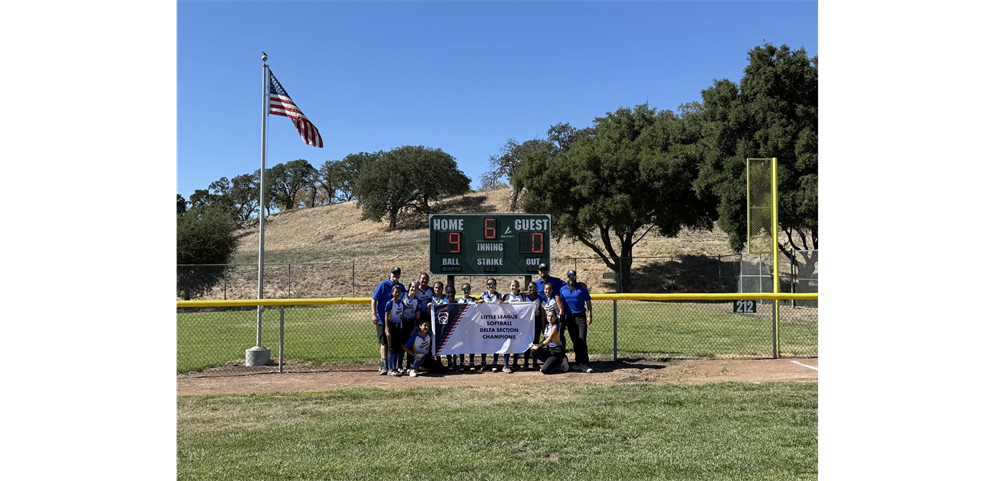DELTA SECTION 2026 SOFTBALL 10-12 CHAMPIONS